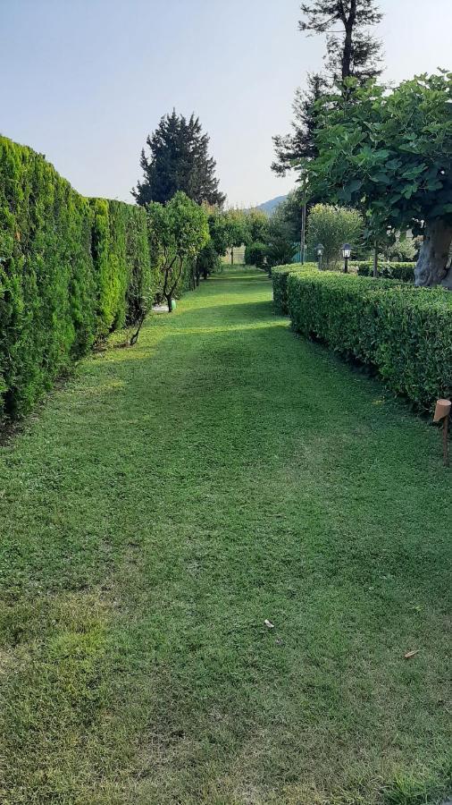 Casale Battaglini Bed & Breakfast Castelnuovo Cilento Eksteriør bilde