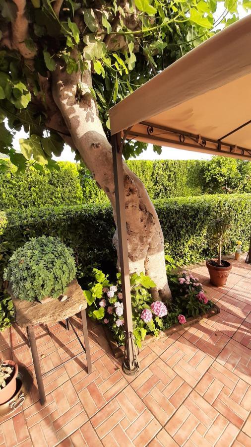 Casale Battaglini Bed & Breakfast Castelnuovo Cilento Eksteriør bilde