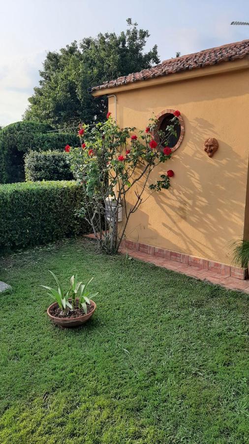 Casale Battaglini Bed & Breakfast Castelnuovo Cilento Eksteriør bilde